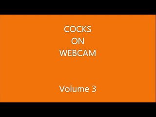 Cocks on webcam volume 3