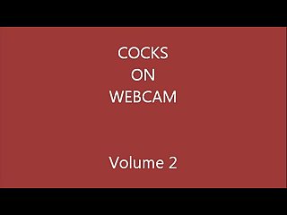 Cocks on webcam volume 2