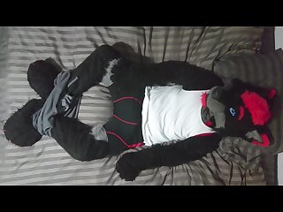 Sexy fursuit stripping