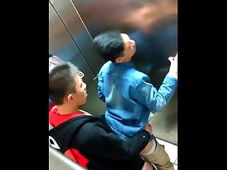 Ooops asian boys caught in school bathroom fucking