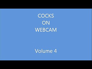 Cocks on webcam volume 4