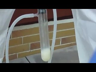 Dairy cream extraction by milking machine no sound