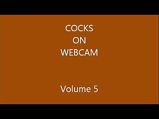 Cocks on webcam volume 5