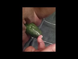 Shoving a cucumber in my fat pussy