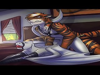 Gay Furry Porn Animation Compilation Vol 3 begins
