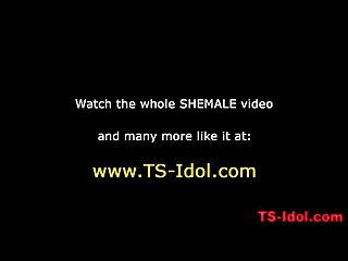 Shemaleidol 10