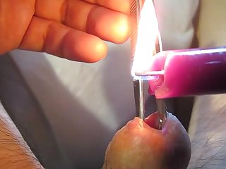 Urethra in hot purple wax