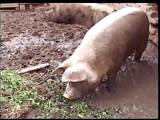 Huge boobs red head chick gets cum after hot fuck outdoors by man in the pig mask