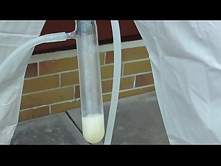 Milking machine mov
