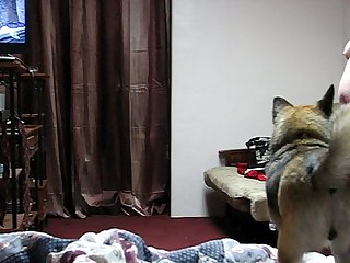 Bedroom spy