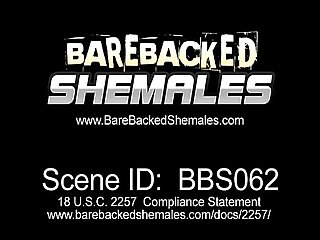 Instant bareback sex by two shemale babes