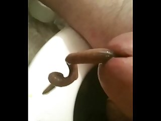 largest worm inserted in urethra ever!